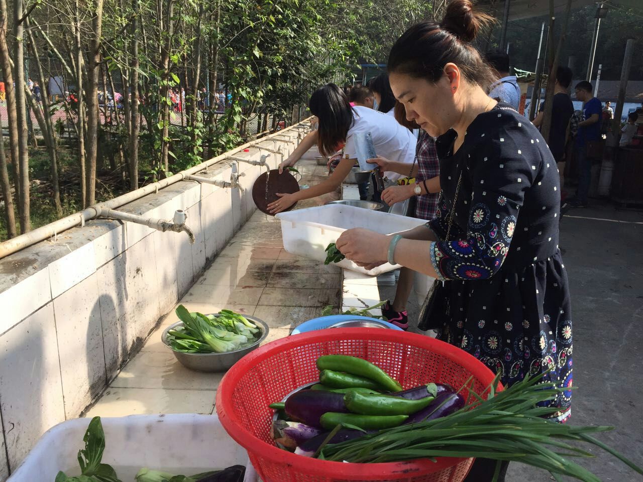 洗菜 洗菜